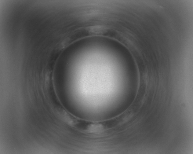 X0000083530271200702091014