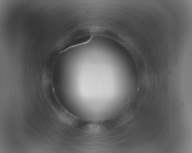 X0000083530272200702091014