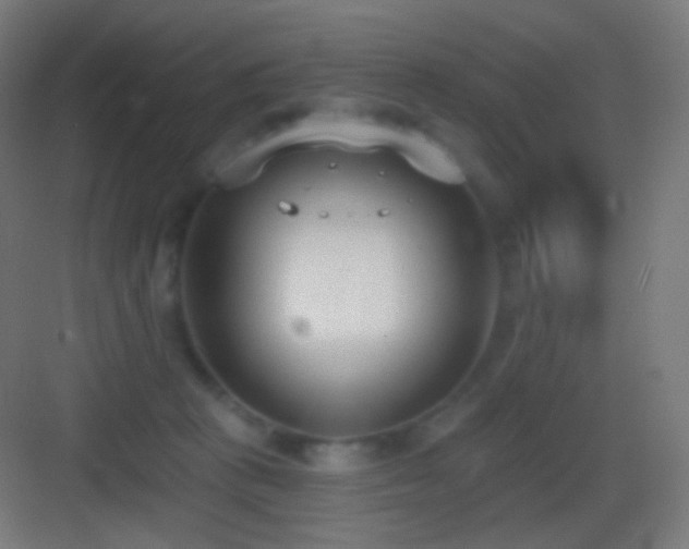 X0000083530273200702091014