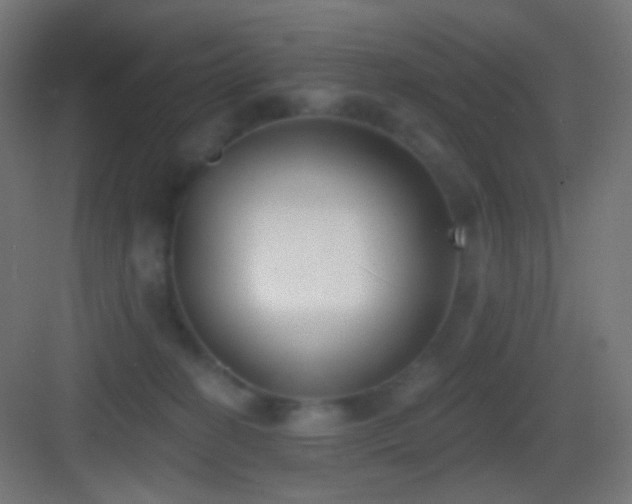 X0000083530274200702091014