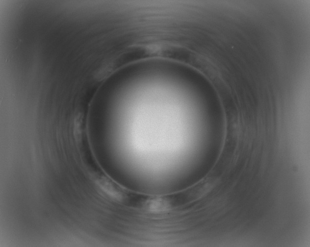 X0000083530275200702091014