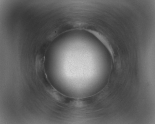 X0000083530276200702091014