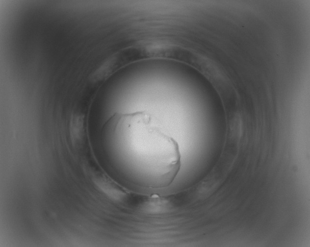 X0000083530278200702091014