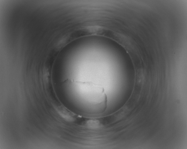 X0000083530279200702091014