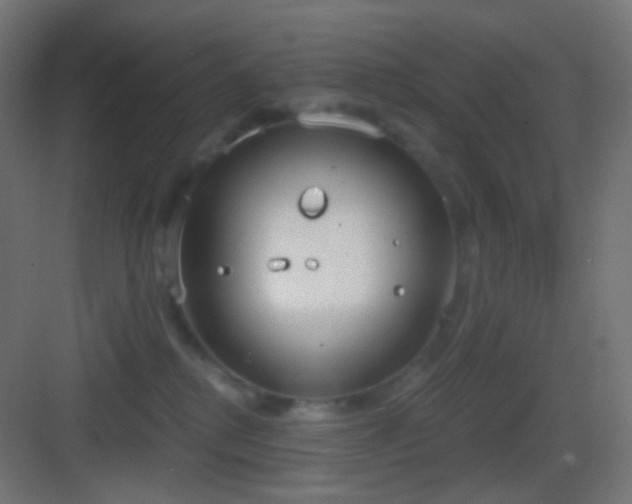 X0000083530280200702091014