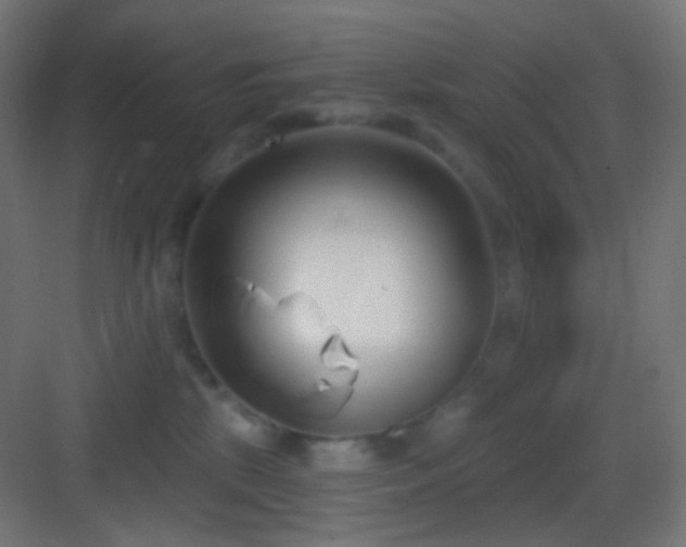 X0000083530281200702091014