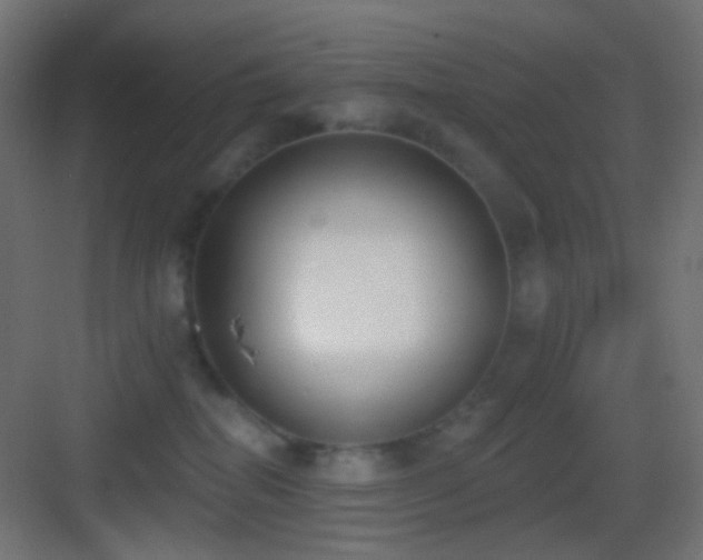 X0000083530282200702091014