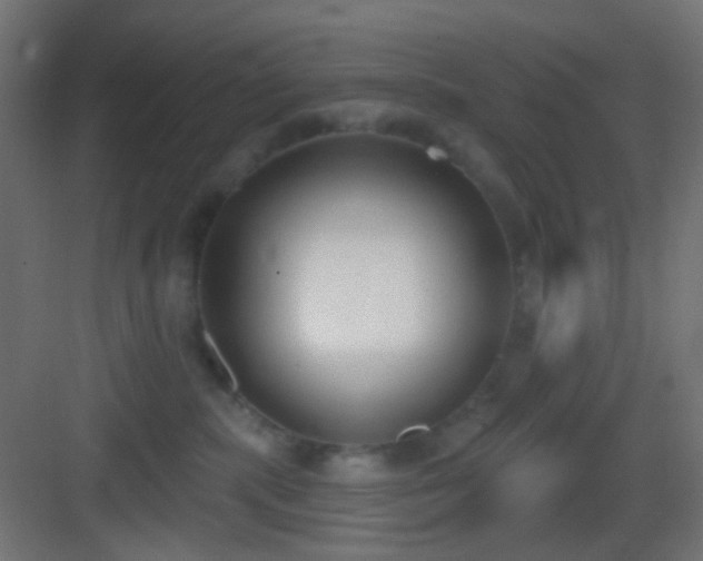 X0000083530283200702091014