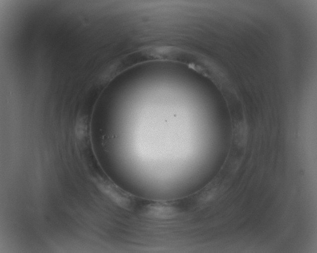 X0000083530284200702091014