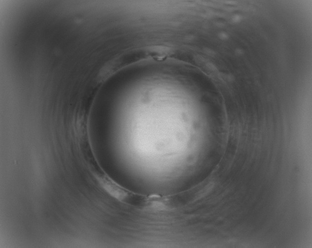 X0000083530285200702091014