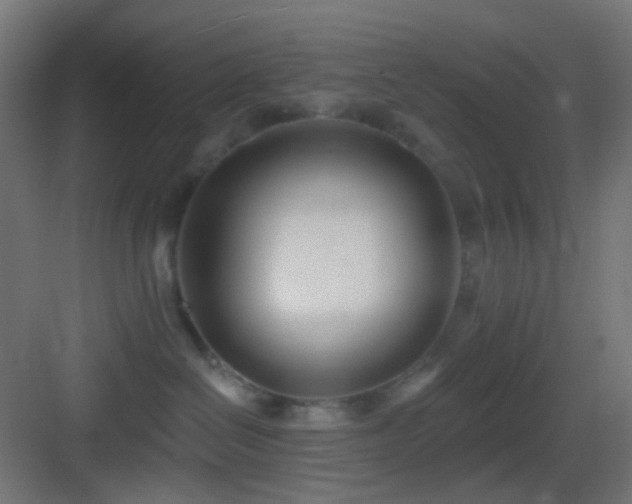 X0000083530286200702091014