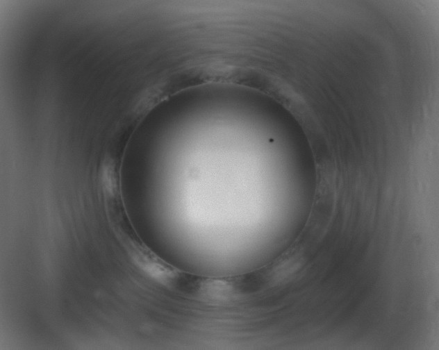 X0000083530287200702091014