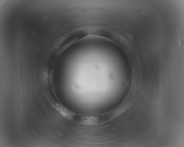 X0000083530288200702091014