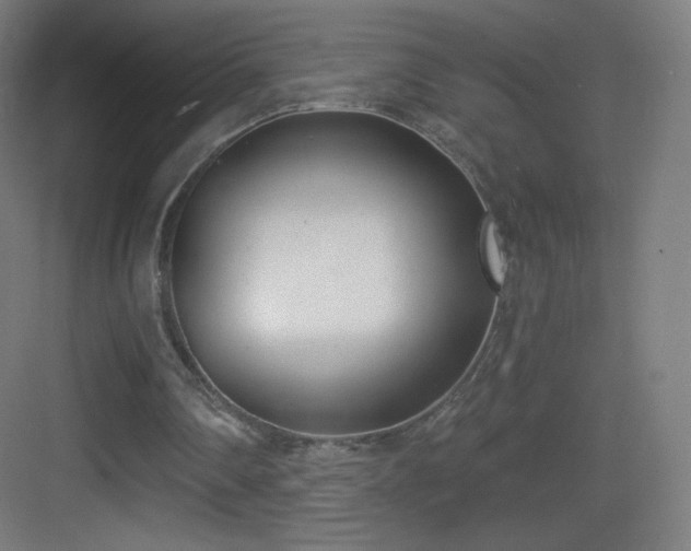 X0000083530290200702091013