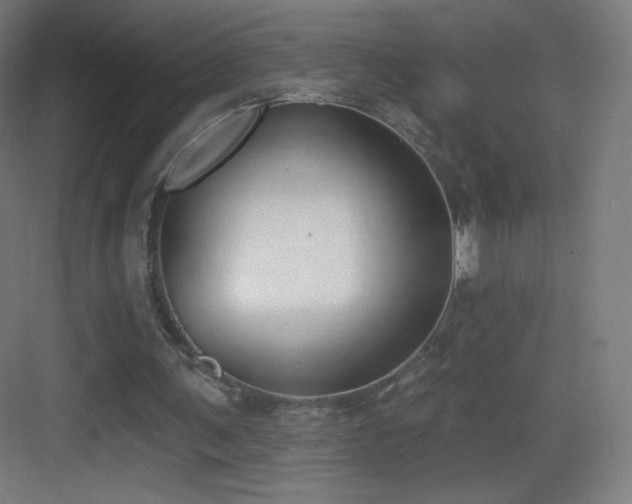 X0000083530291200702091013