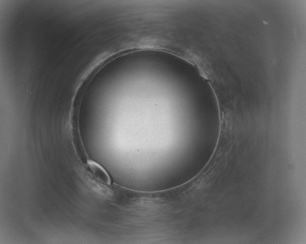 X0000083530292200702091013