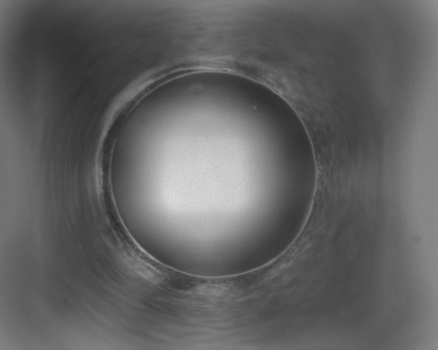 X0000083530294200702091013