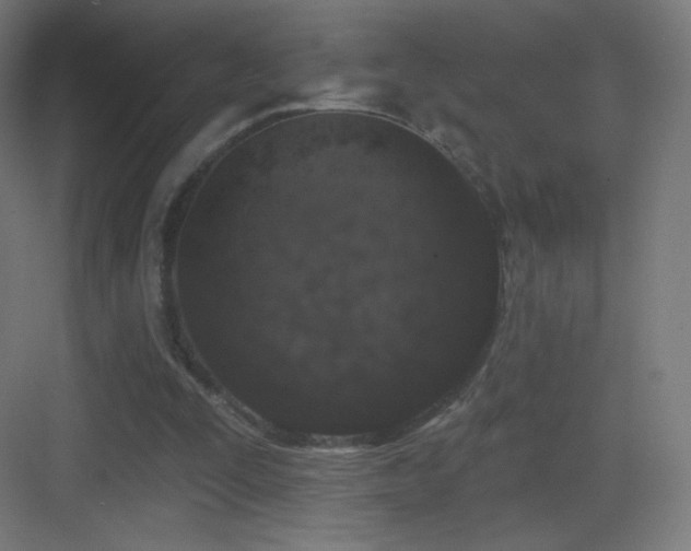 X0000083530295200702091013