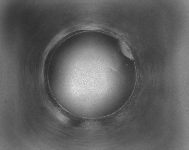 X0000083530296200702091013