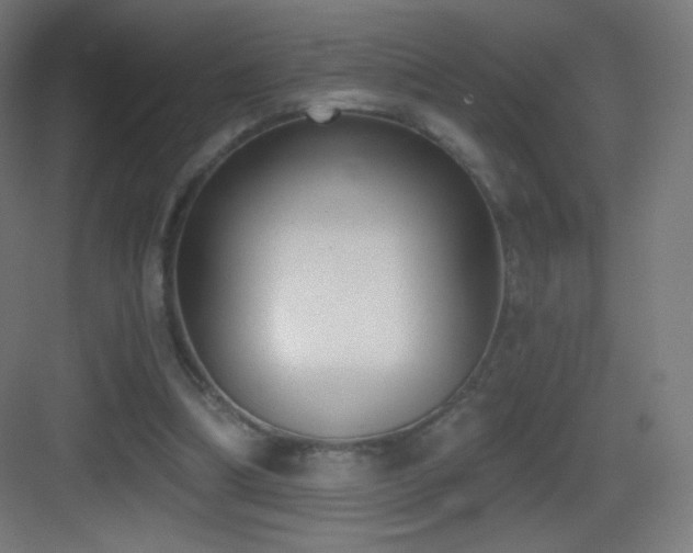 X0000083530298200702091013