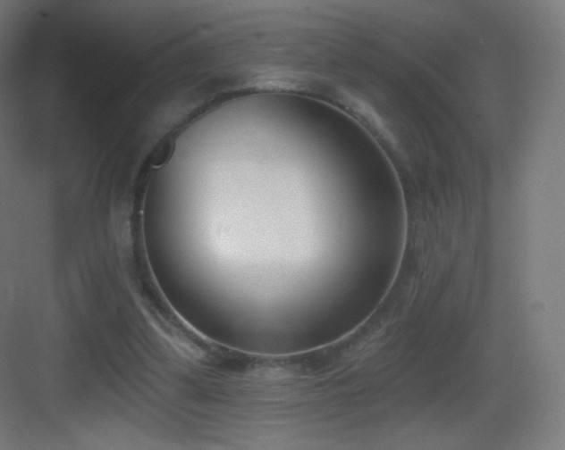 X0000083530299200702091013