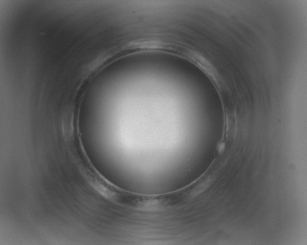 X0000083530301200702091013