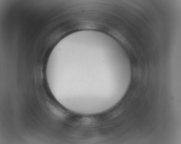 X0000083530302200702091013