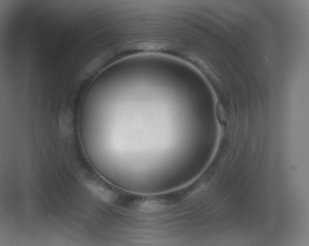 X0000083530303200702091013