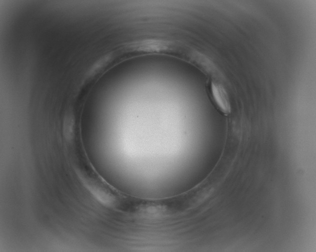 X0000083530304200702091013