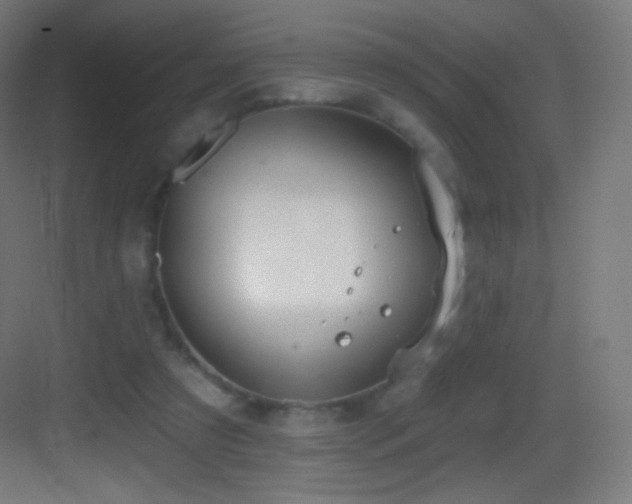 X0000083530305200702091013