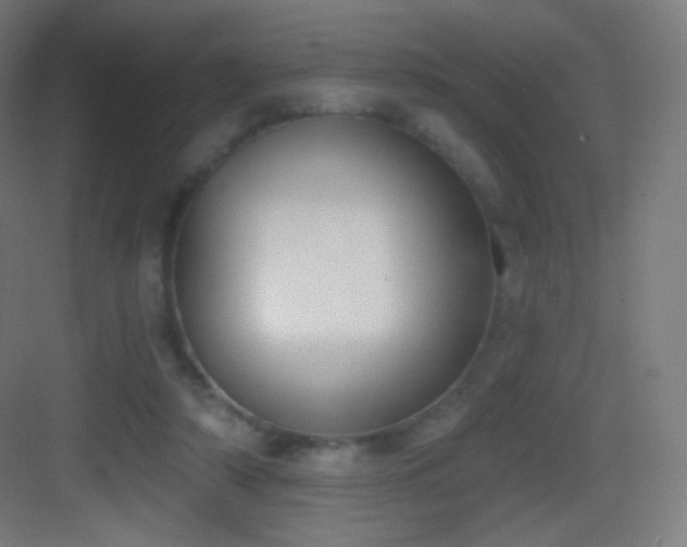 X0000083530306200702091013