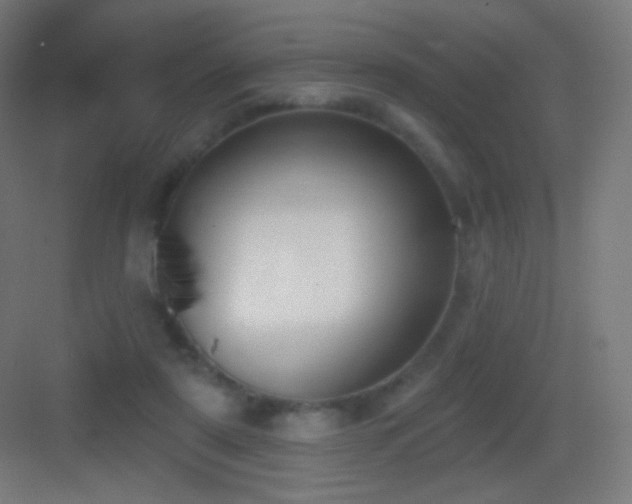 X0000083530307200702091013