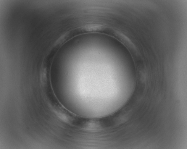 X0000083530308200702091013