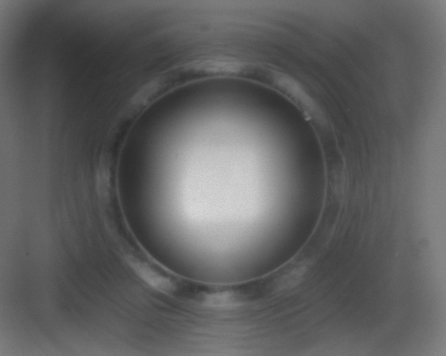 X0000083530309200702091013