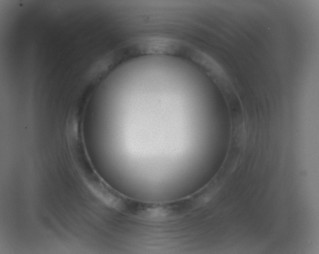 X0000083530310200702091013