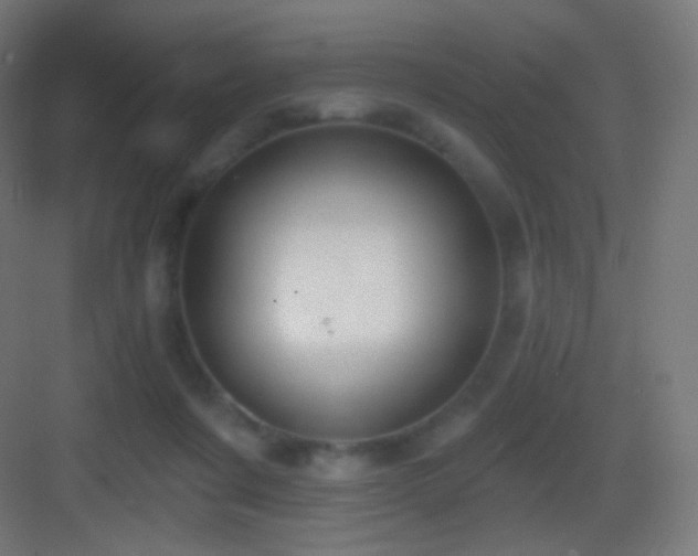 X0000083530311200702091013