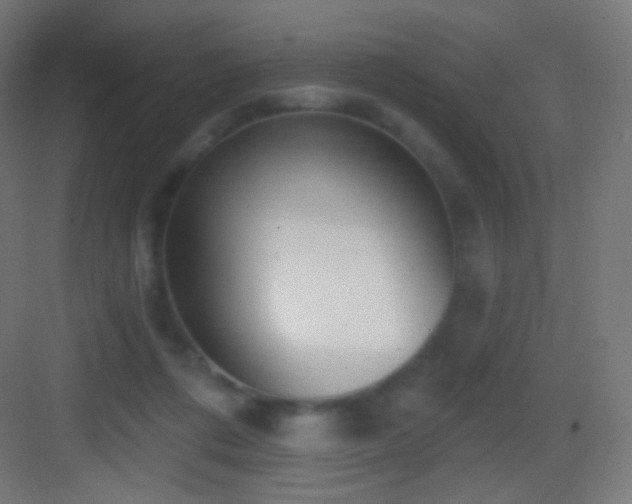 X0000083530312200702091013