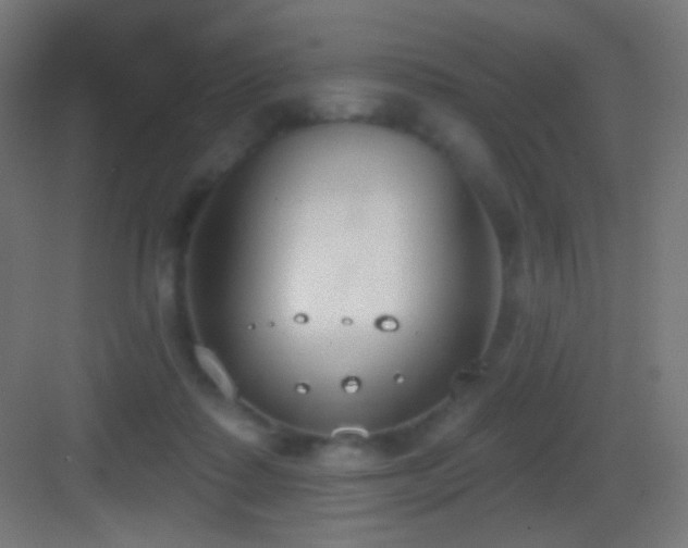 X0000083530315200702091013