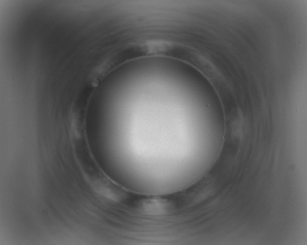 X0000083530316200702091013