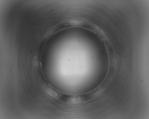 X0000083530317200702091013