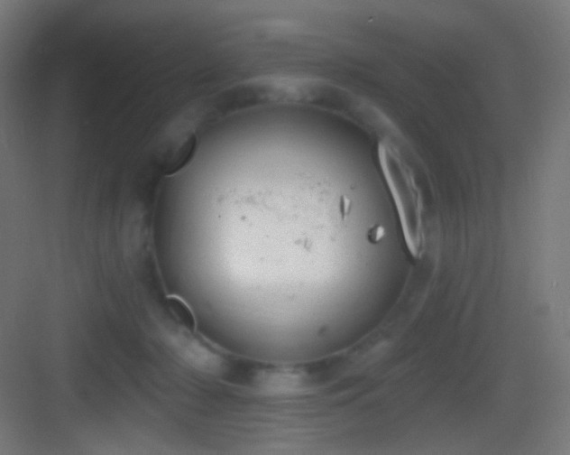 X0000083530318200702091013