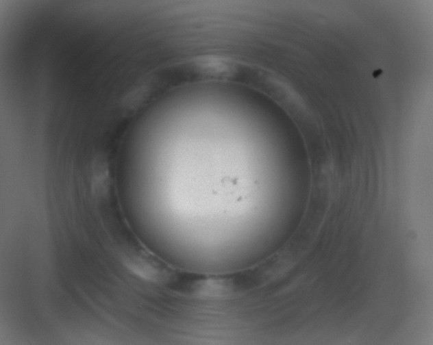 X0000083530320200702091013