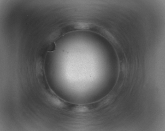 X0000083530322200702091013