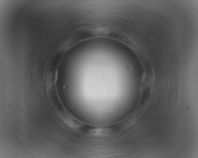 X0000083530323200702091013