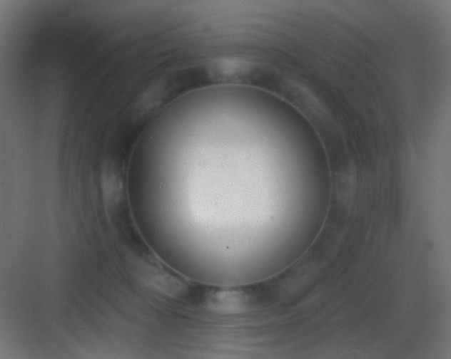 X0000083530324200702091013