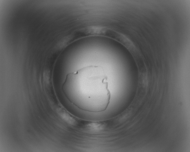 X0000083530326200702091013