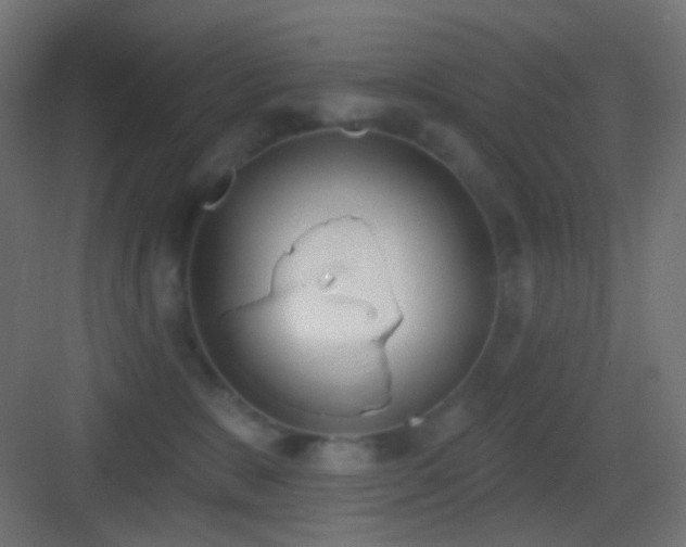 X0000083530327200702091013