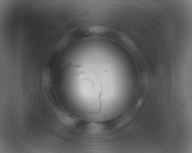 X0000083530328200702091013