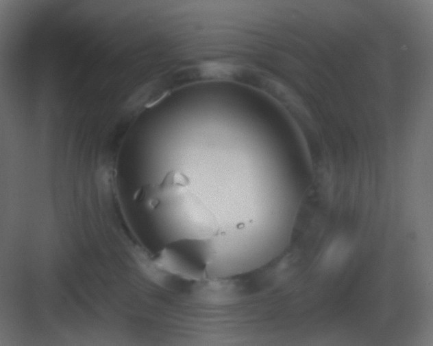 X0000083530329200702091013