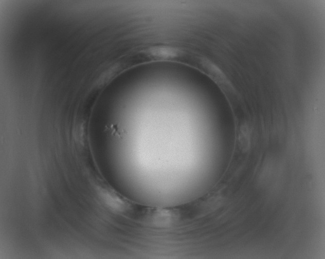 X0000083530330200702091013